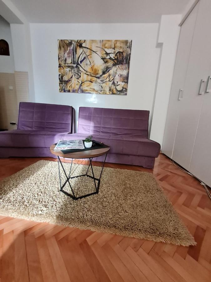 Apartman Veselinovic Free Parking Vranje Exterior photo